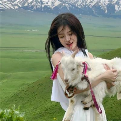 死仔包 在线观看